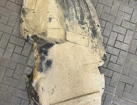 Задна лява обшивка на арката