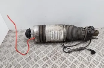заден ляв пневматичен амортисьор