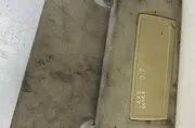 Ляв сенник