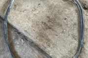 Кабелен сноп на двигателя