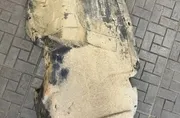 Задна лява обшивка на арката