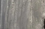 Други части на тялото