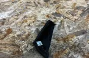 Други части на задната врата