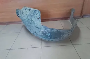 Задна лява обшивка на арката