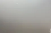 Дясна странична пола