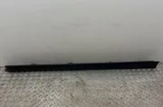 Лява странична пола