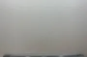 Лява странична пола